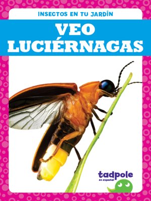 cover image of Veo luciérnagas (I See Fireflies)